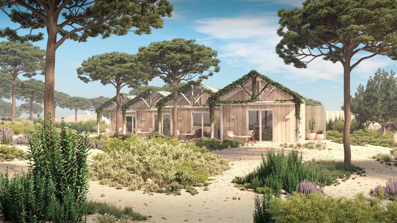 ID6c1c4501-0000-0500-0000-00000e73dfff