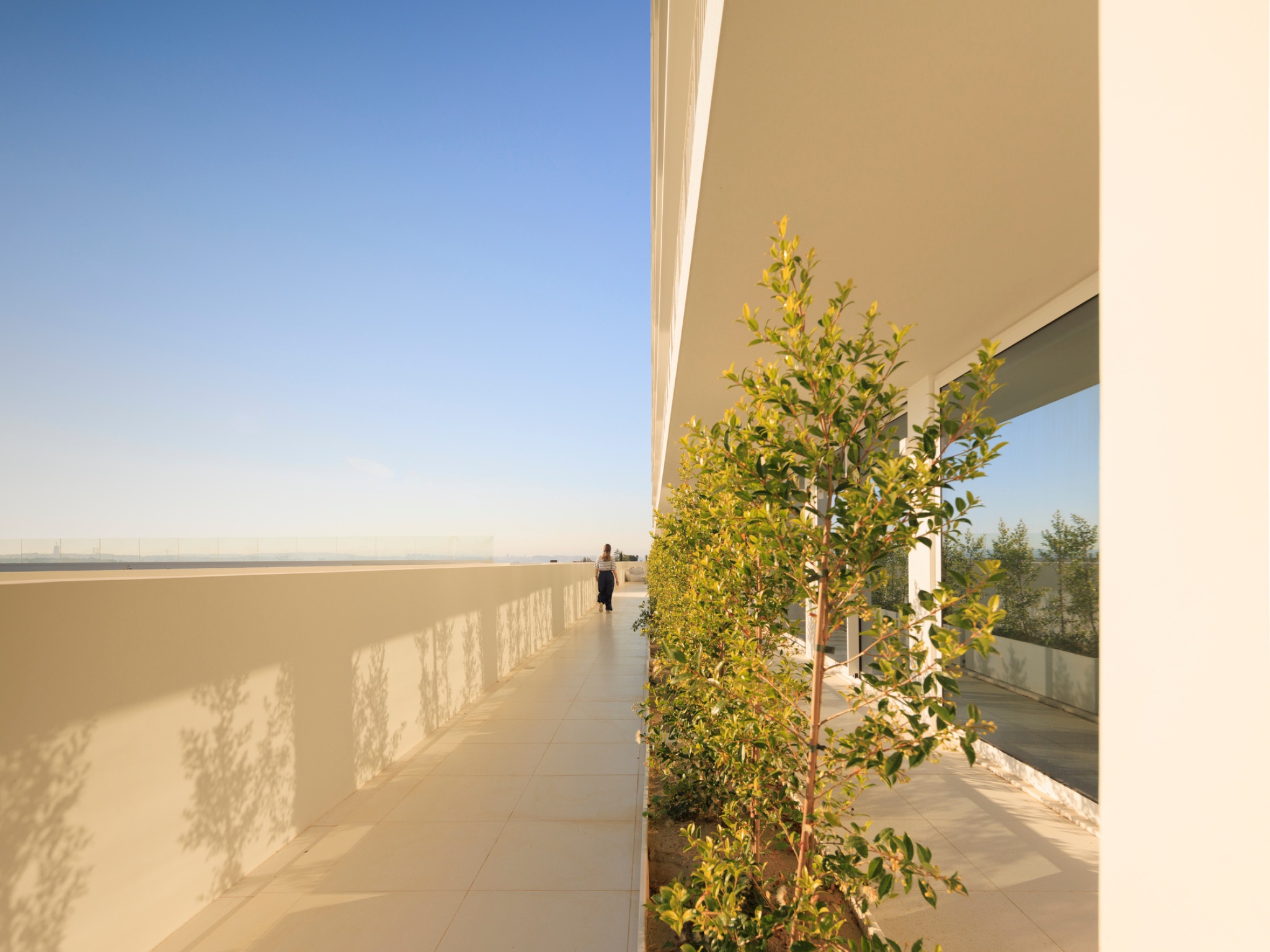 ID6d738001-0000-0500-0000-0000169336d1